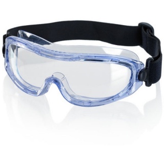 Beeswift BBNFG Low Profile Goggles Clear